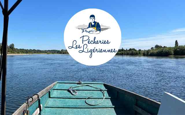 Ballades en Bateau