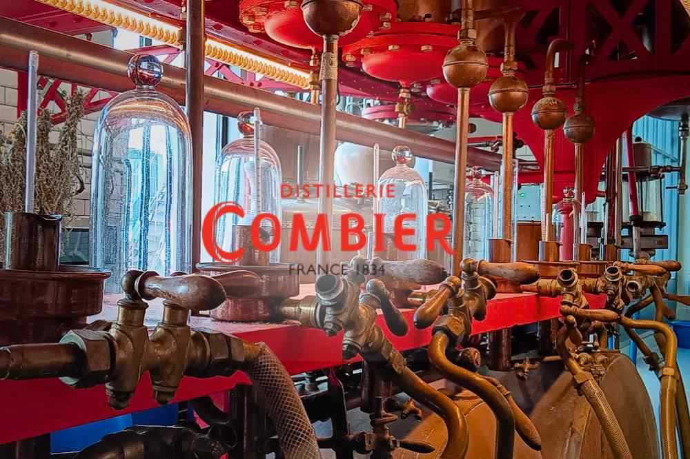 la Distillerie Combier à Saumur
