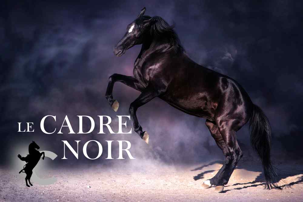 Le Cadre noir de Saumur