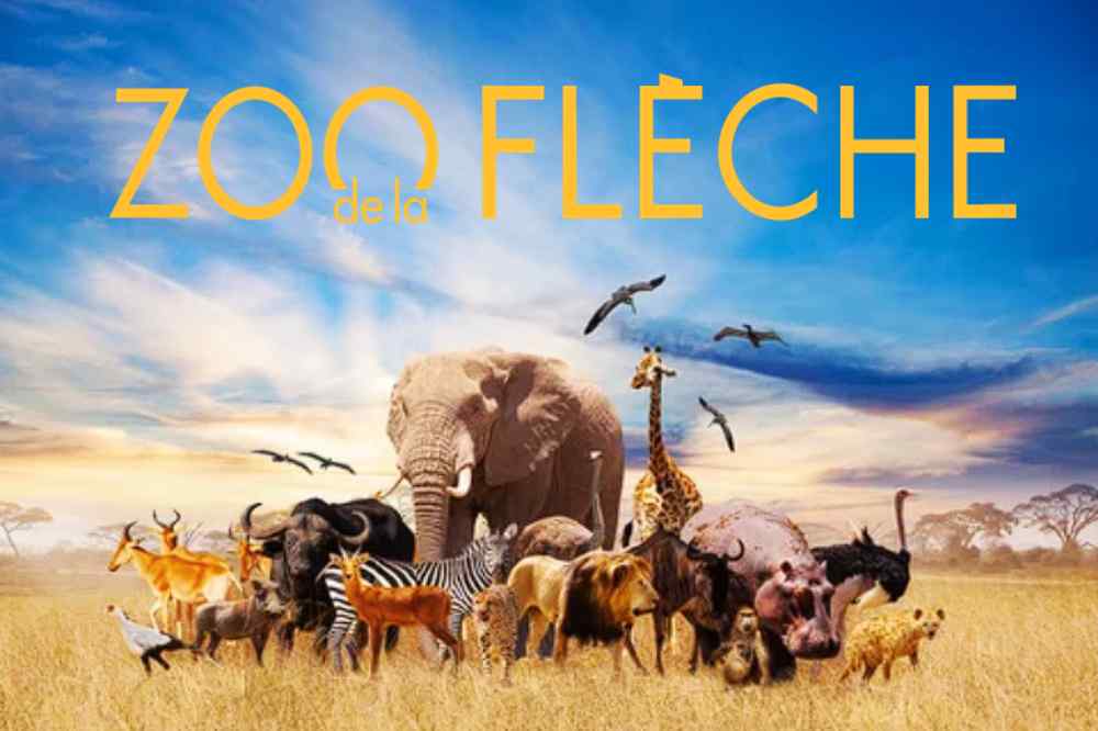 Zoo de la Flèche