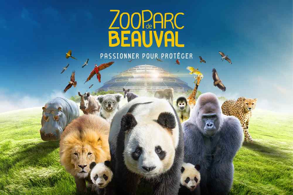 Zoo de Beauval